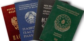 Pasportlar